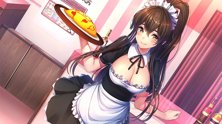 【預售 3/9】NS Days Collection: 女忍者戀愛二部曲 / Days Collection: NinNin Heroines 中/英/日文  (中文封面) NSW-4017