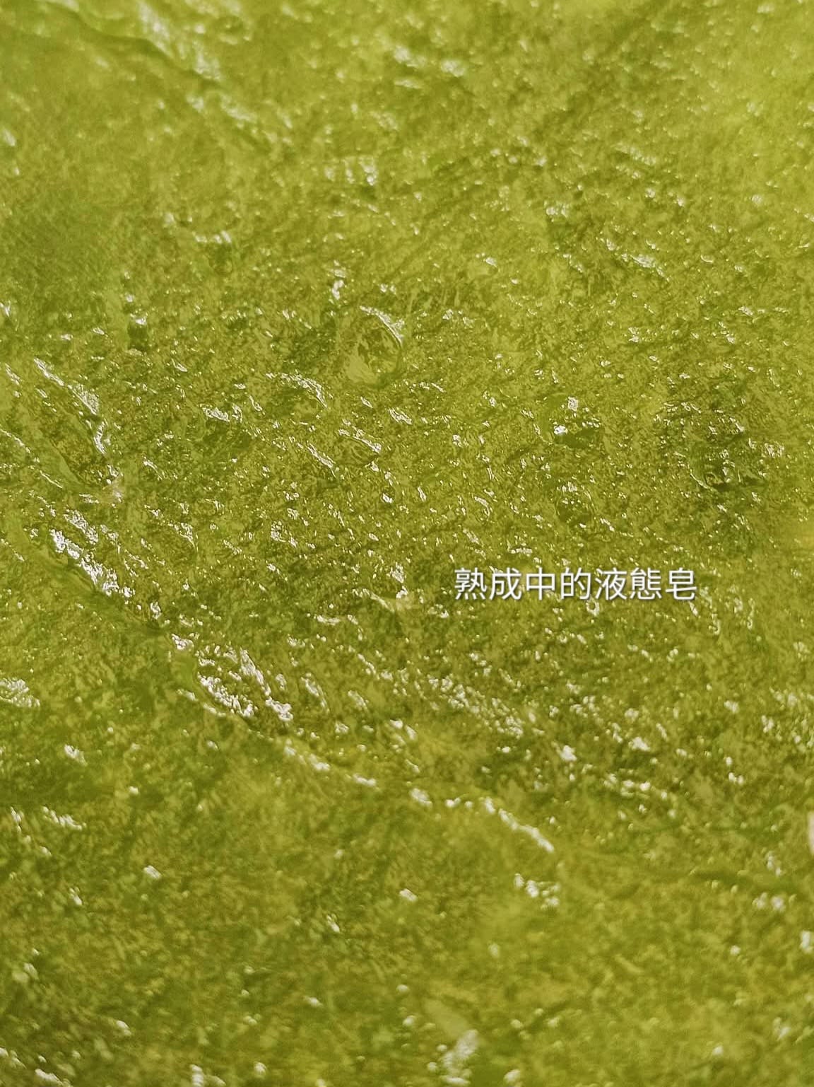 現貨｜東方新年限定｜碌碌柚葉液態皂＆噴霧（不適用於折扣活動）