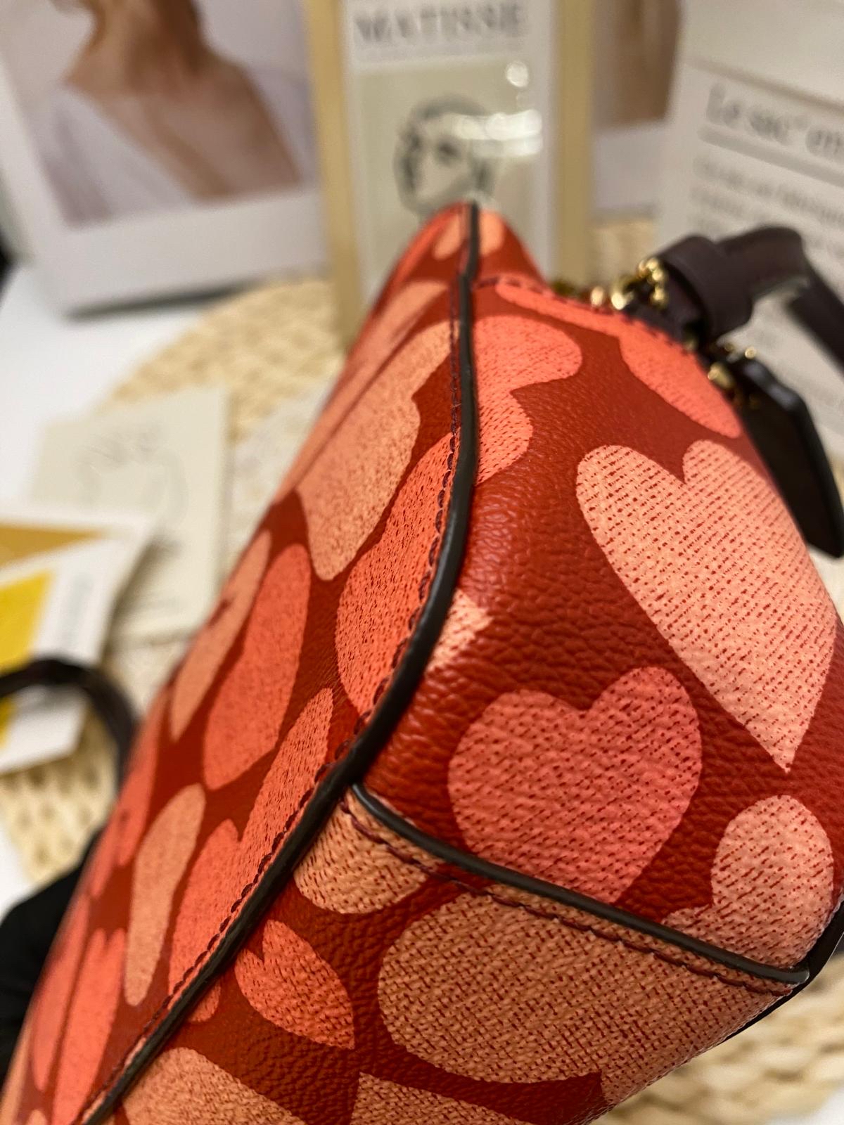 Coach Mini Camera Bag With Heart Print
