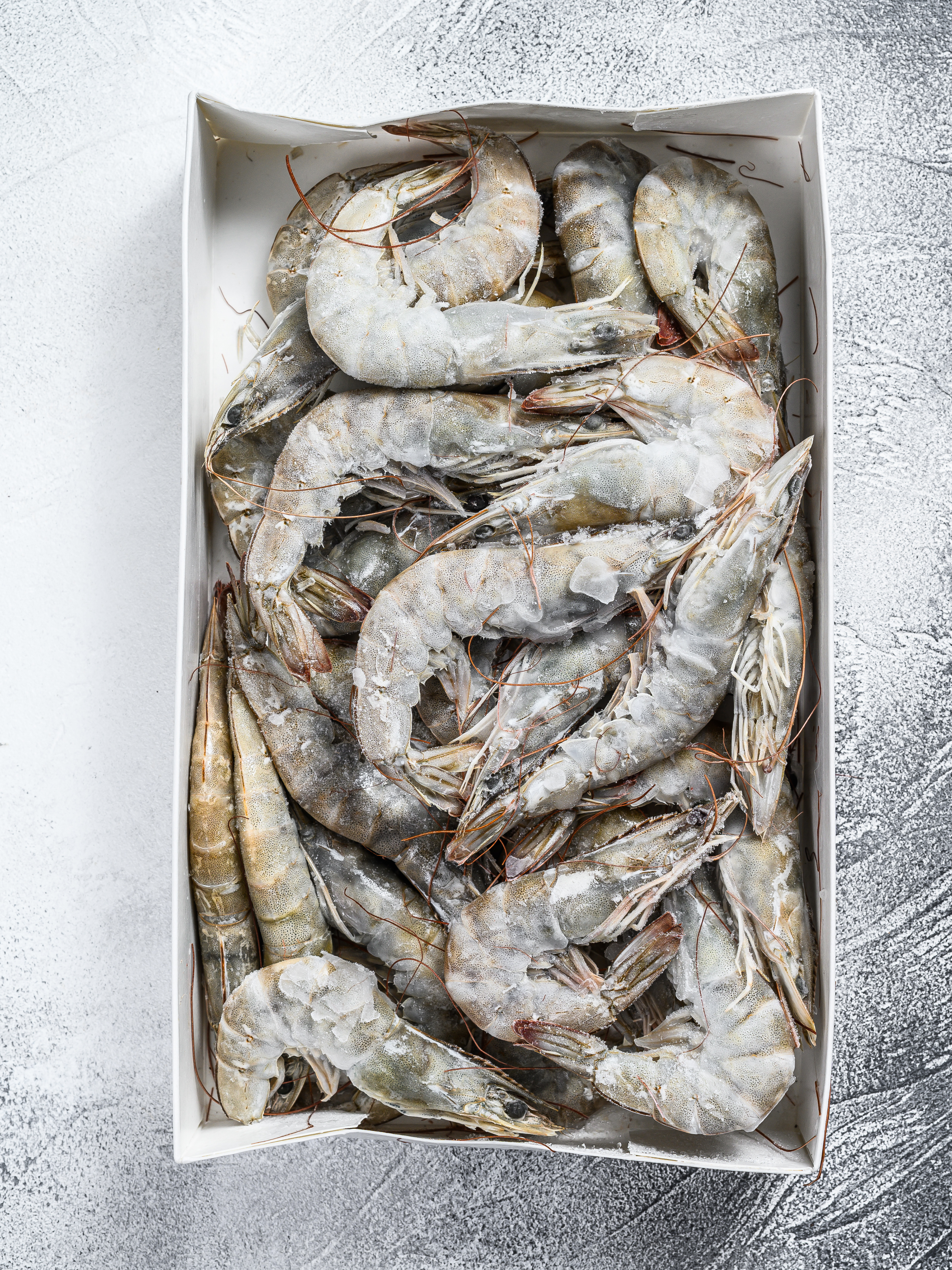XXL Shrimps