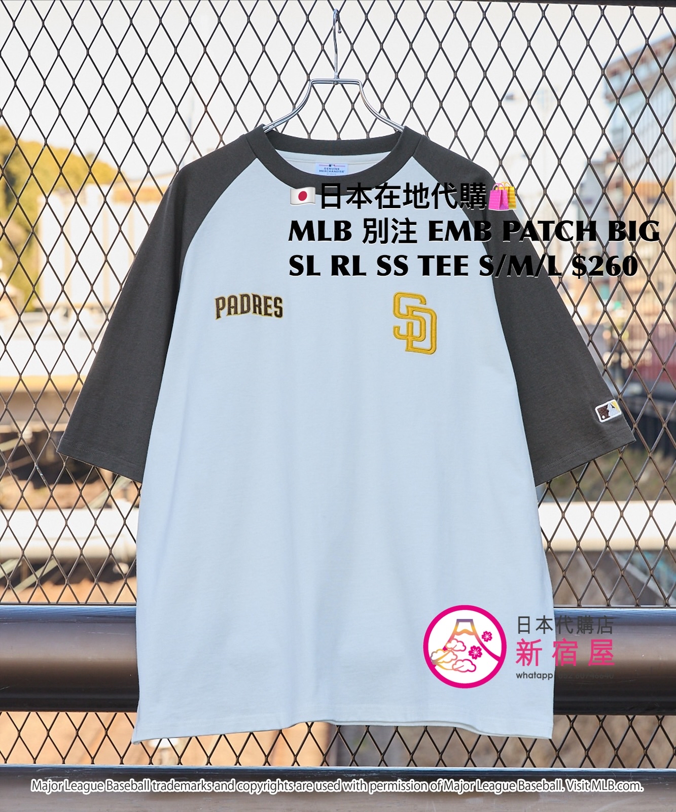 MLB 別注 EMBROIDERED PATCH BIG SILHOUETTE RAGLAN SS T-SHIRT