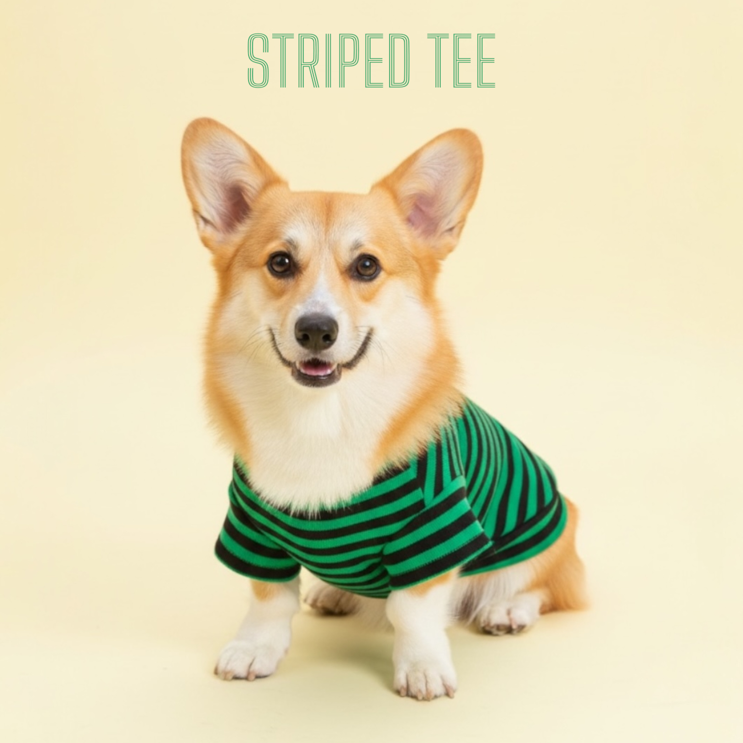 S585GN 條子有袖TEE(綠色) TEE with striped sleeves (green)