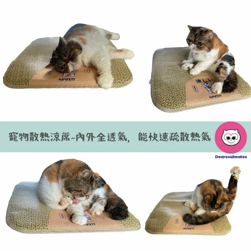 寵物散熱涼蓆