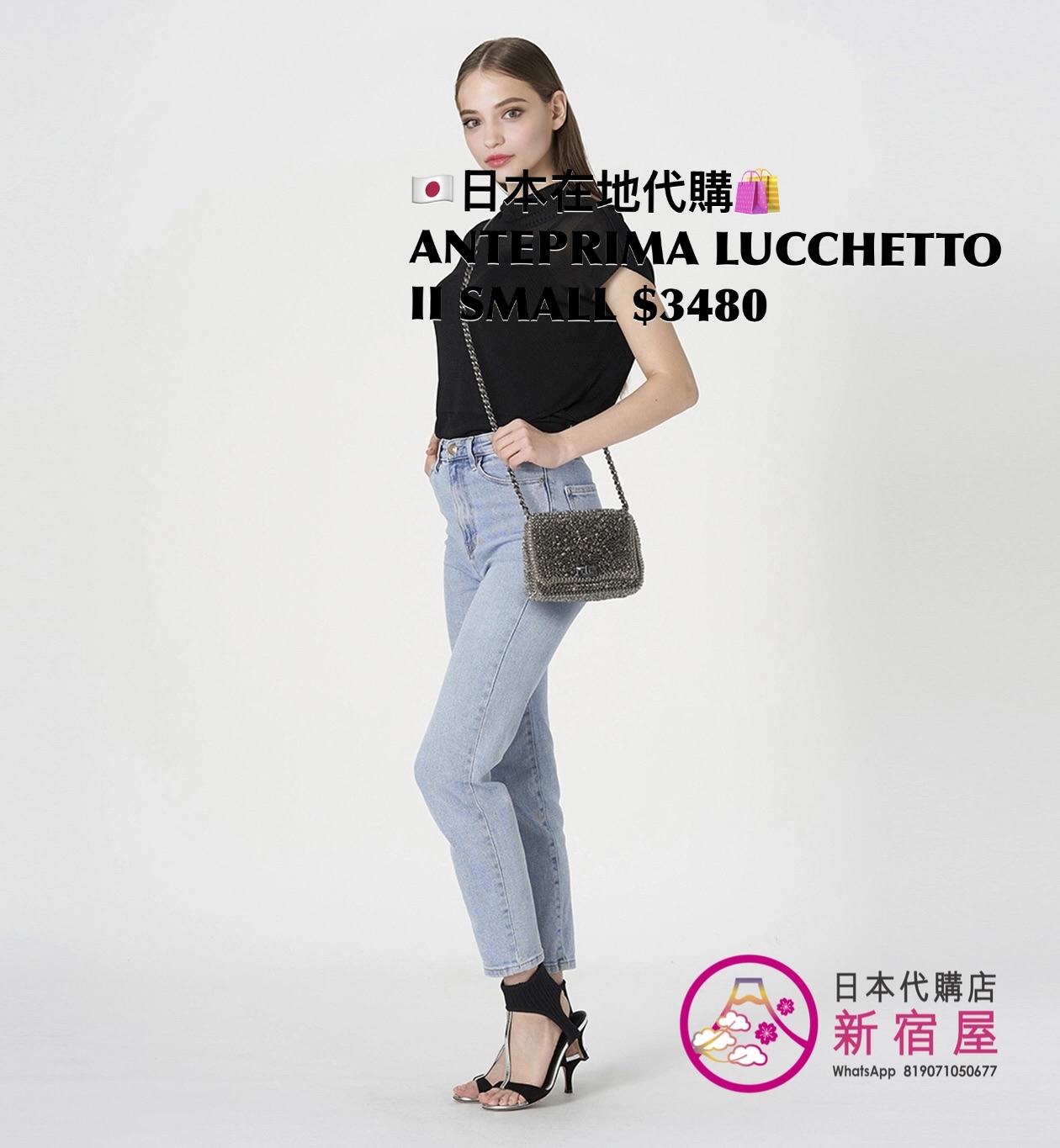 ANTEPRIMA LUCCHETTO II SMALL