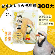 越飛龍甘氏無激素 鷓鴣皇 (300天)