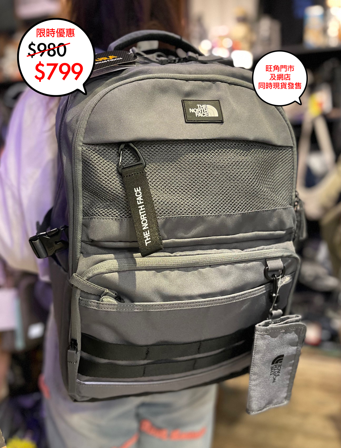 The North face 韓國限定 Dual pro III backpack 系列