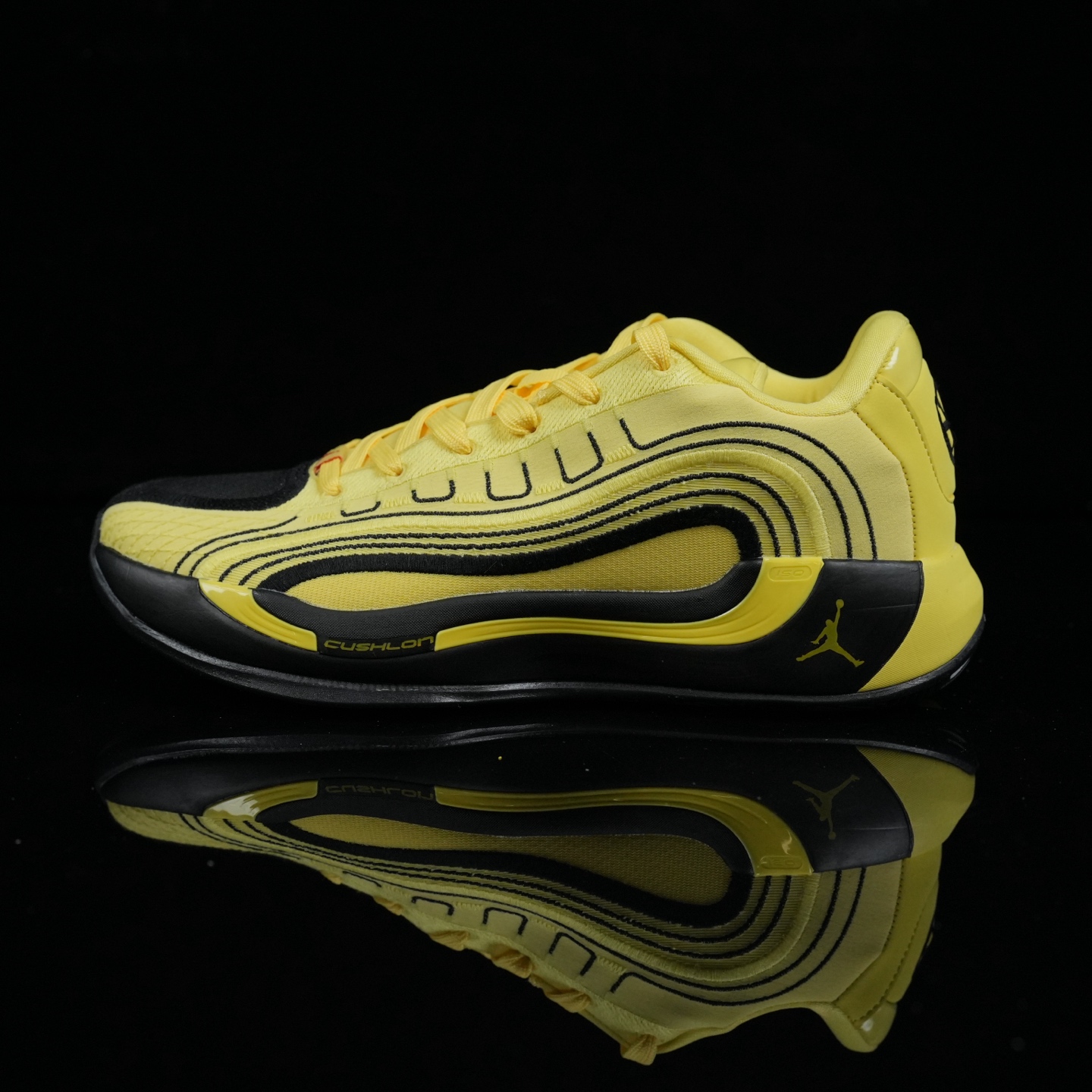 Nike Jordan Luka 4 PF 