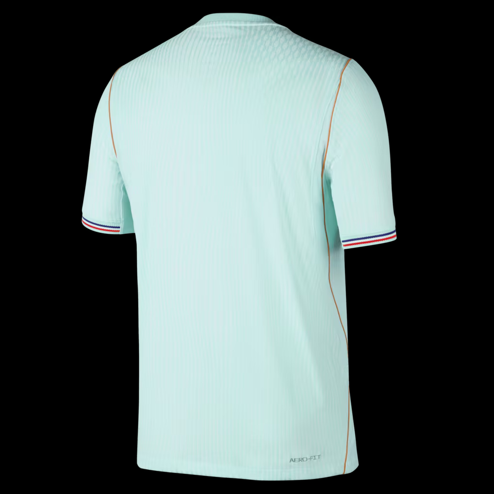 🗽薄荷綠之美 Nike France 法國 2026-27 作客球員版球衣 (可加印字章) IB5200