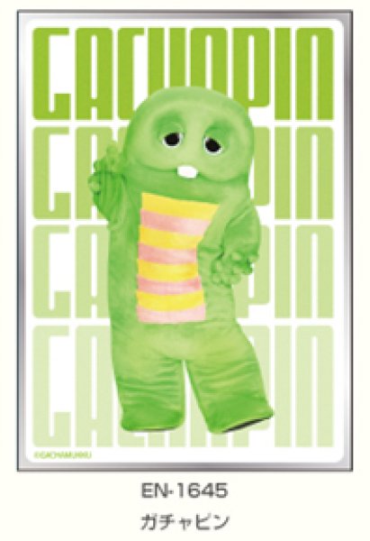 [預訂] Ensky 卡套 6月份 GACHAPIN & MUKKU