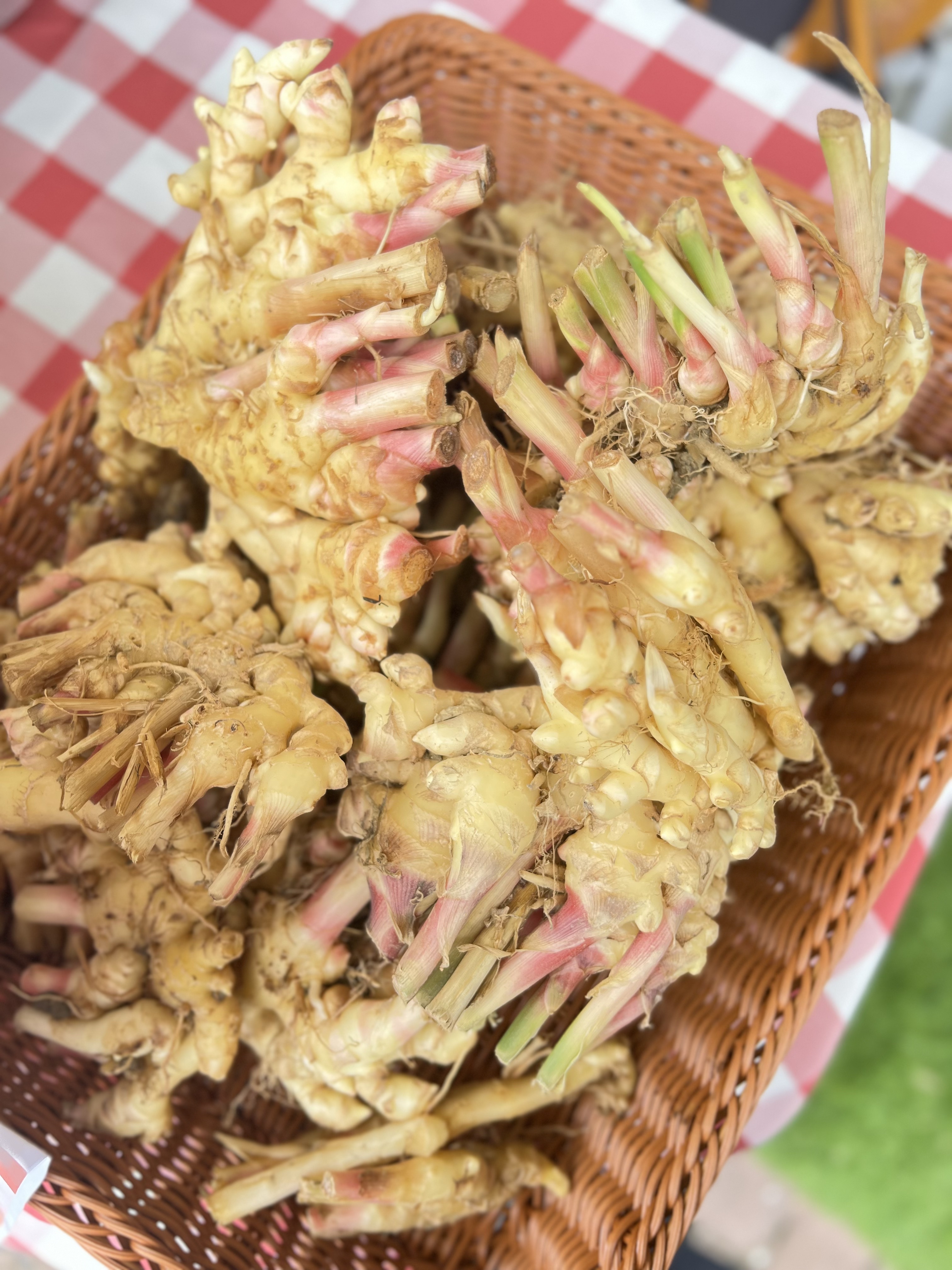 紅糖薑 · Brown Sugar Ginger 20g