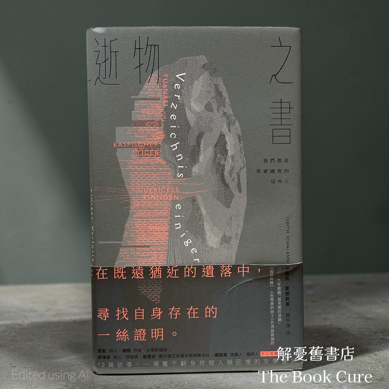 逝物之書：我們都是消逝國度的局外人 / 茱迪思．夏朗斯慕 著