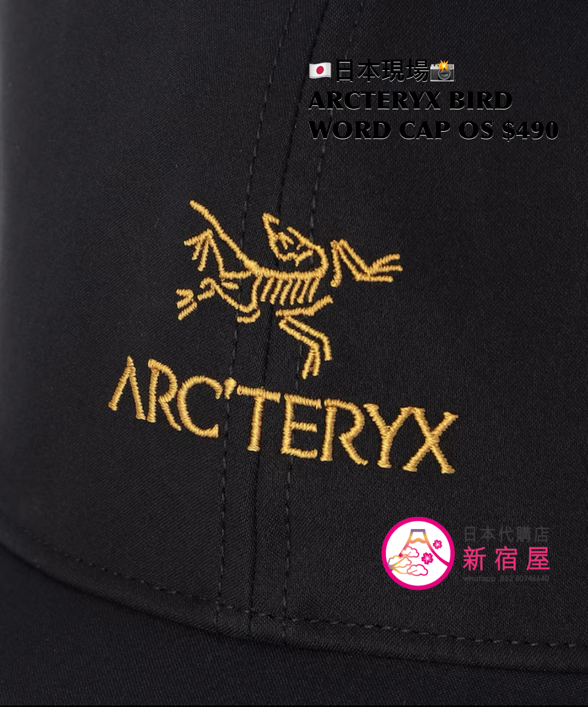 ARCTERYX BIRD WORD CAP