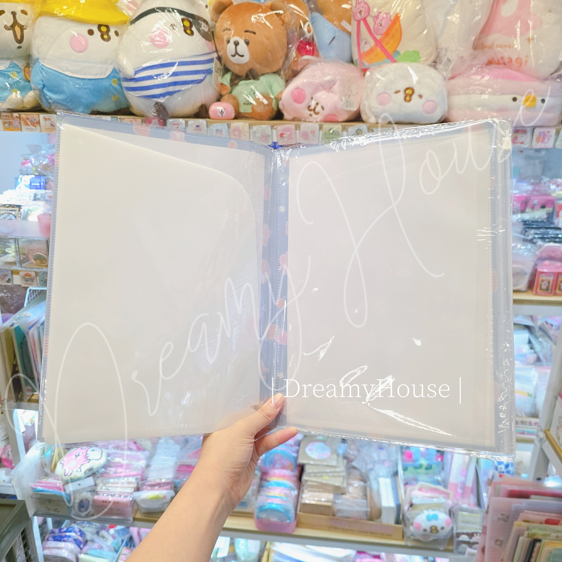 日本 kanahei 🥳Kanahei x ITS'DEMO🍓 A4文件夾