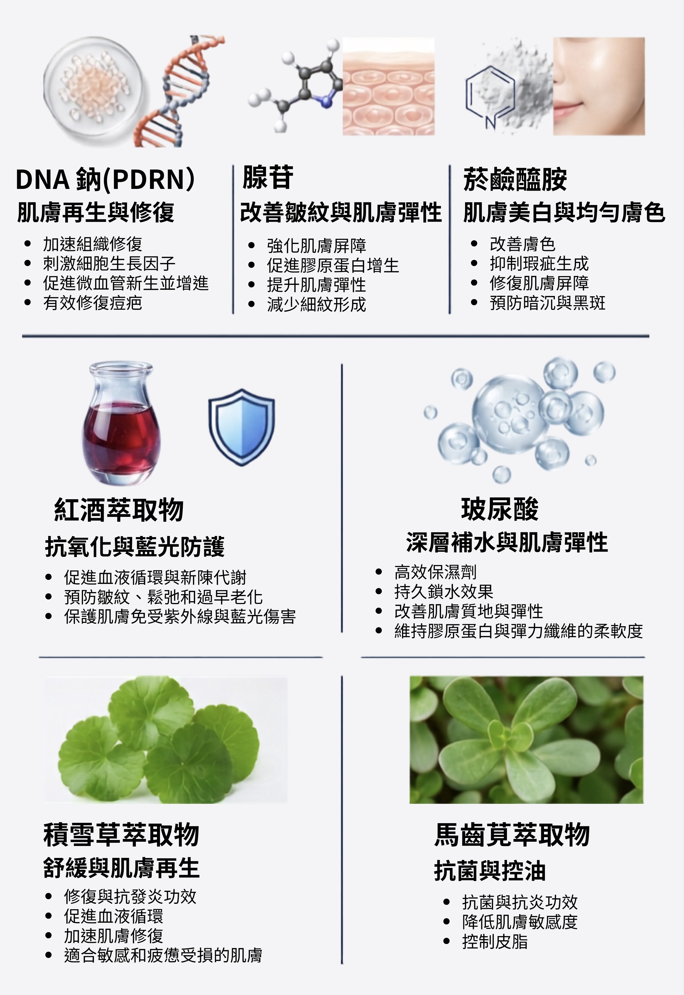 La ChomB 抗初老再生霜核心成分解析：包含促進再生修復的 DNA 鈉(PDRN)、改善皺紋彈性的腺苷、美白均勻膚色的菸鹼醯胺、抗氧化與防護藍光的紅酒萃取物、高效保濕玻尿酸，以及舒緩與抗菌的積雪草和馬齒莧萃取物。