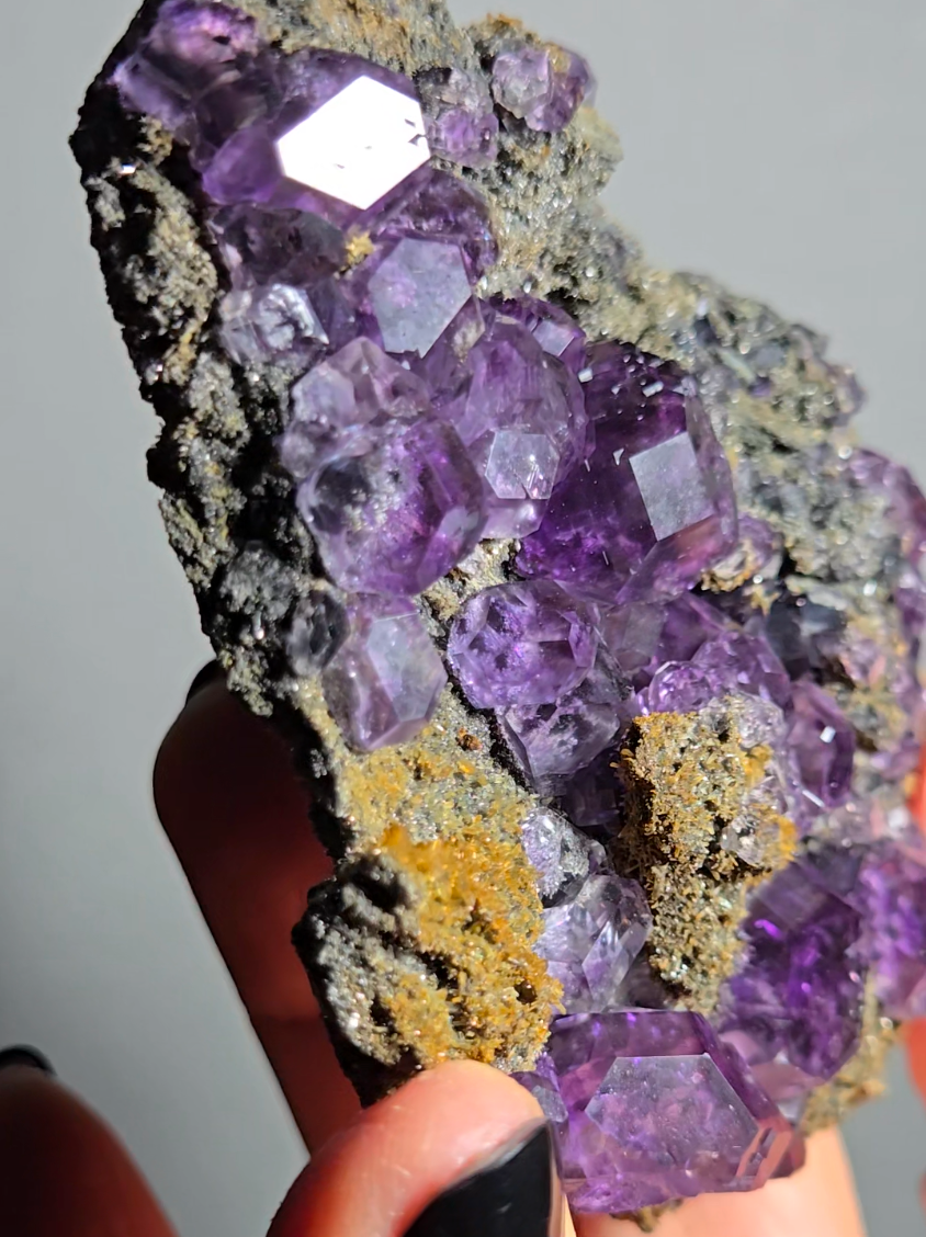 Tanzanite fluorite with perfect dodecahedrons - FL368