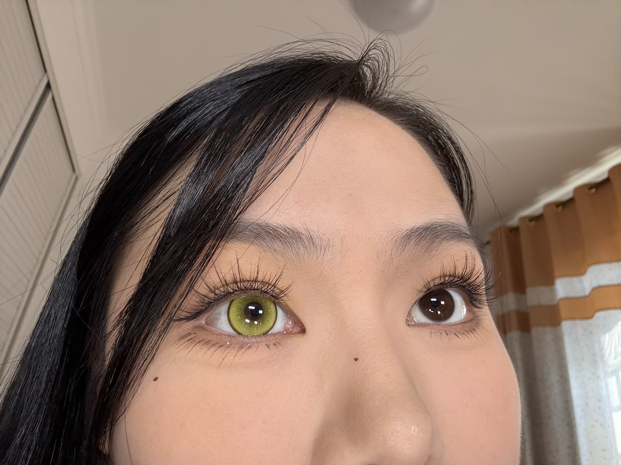 Apricotcon 日拋2片 螢火系列