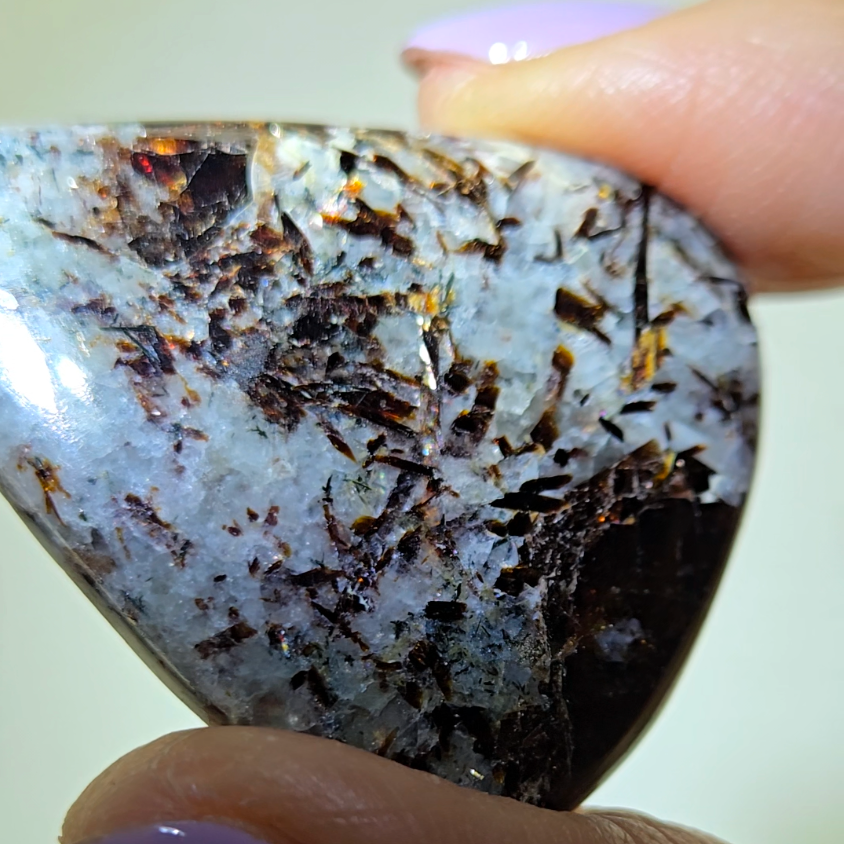 Astrophyllite cabochon with flashy golden flakes - AST21