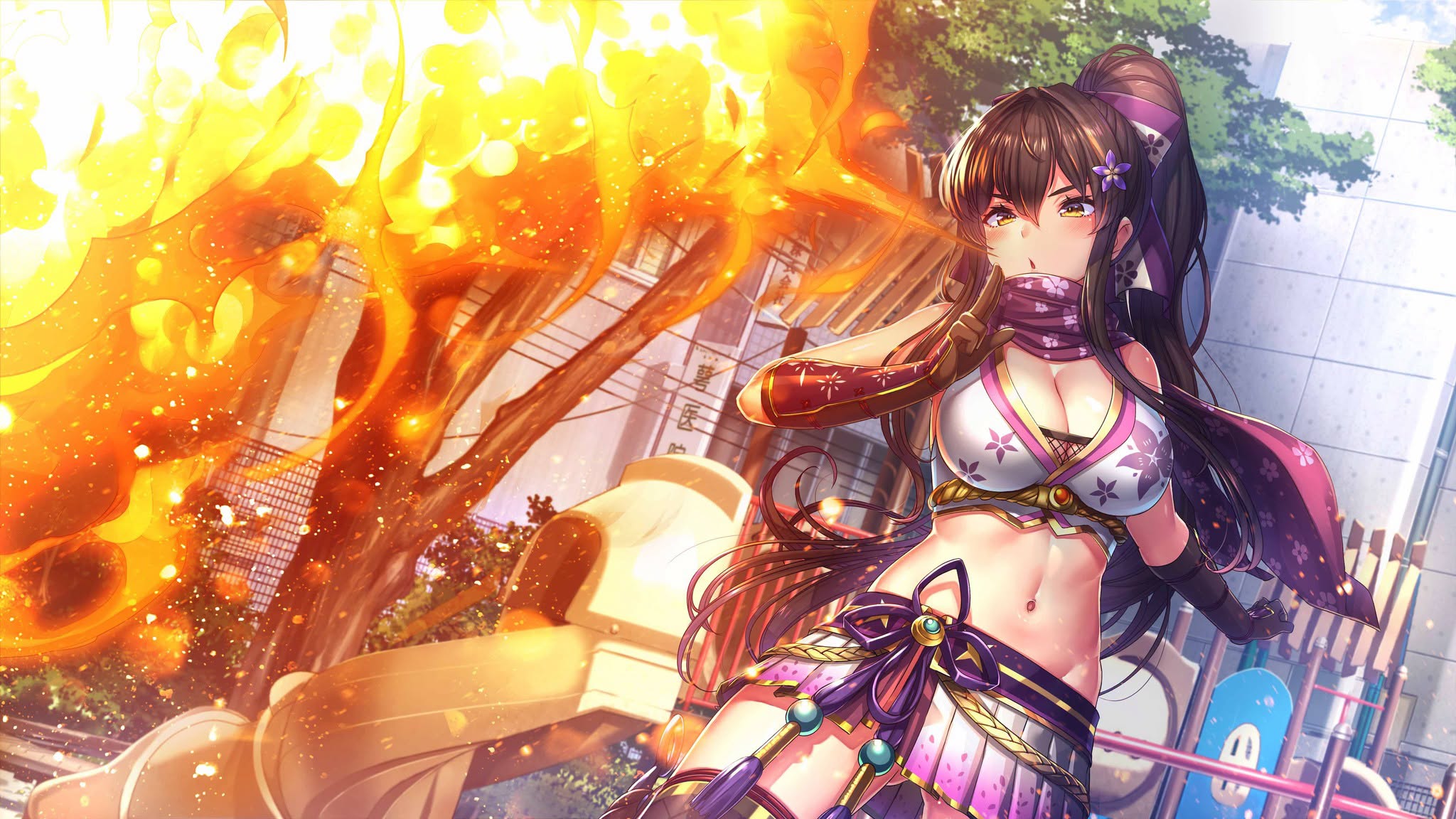 [現貨] [行版] NS Days Collection: 女忍者戀愛二部曲