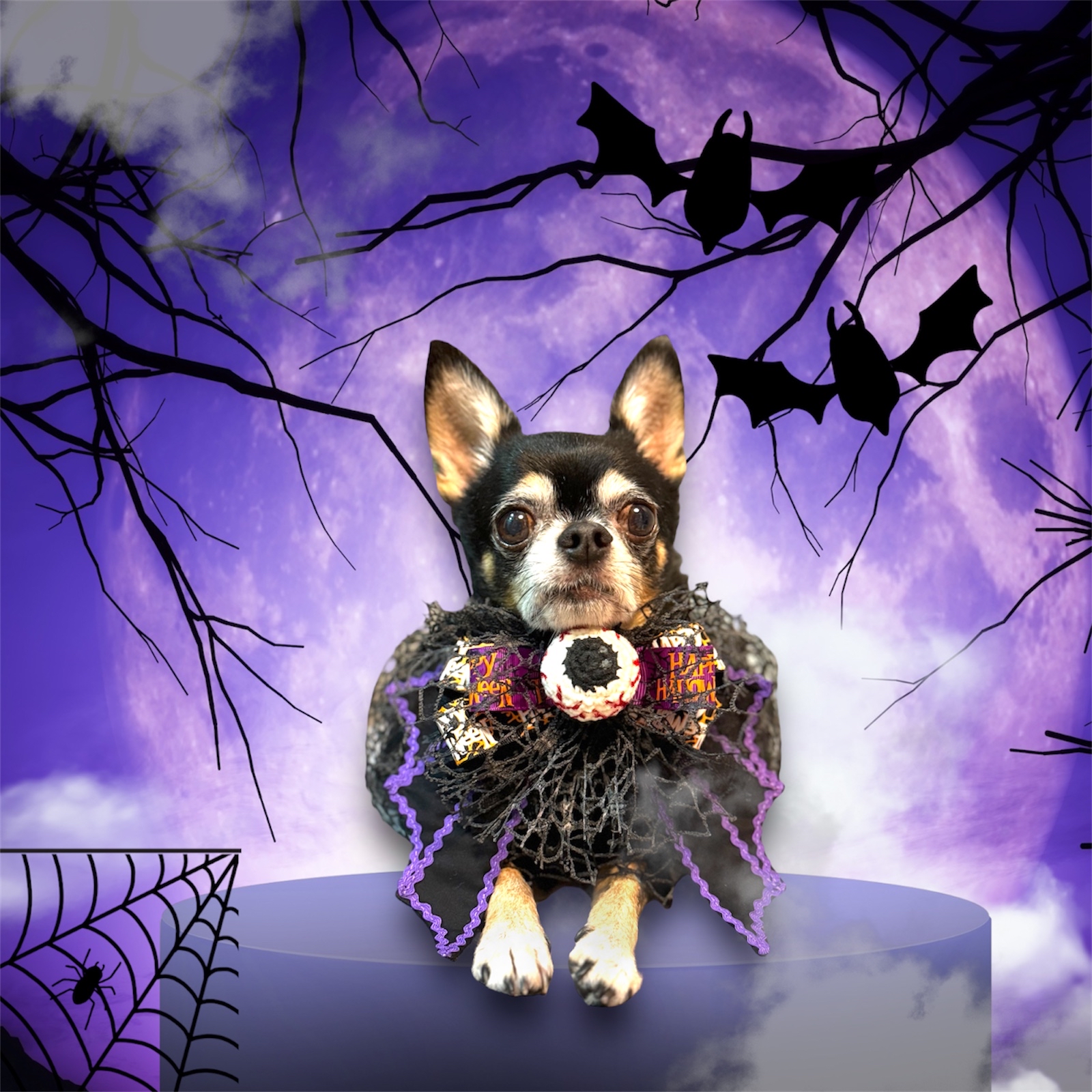 寵物手作 Halloween 暗黑者 歌德風 頸飾