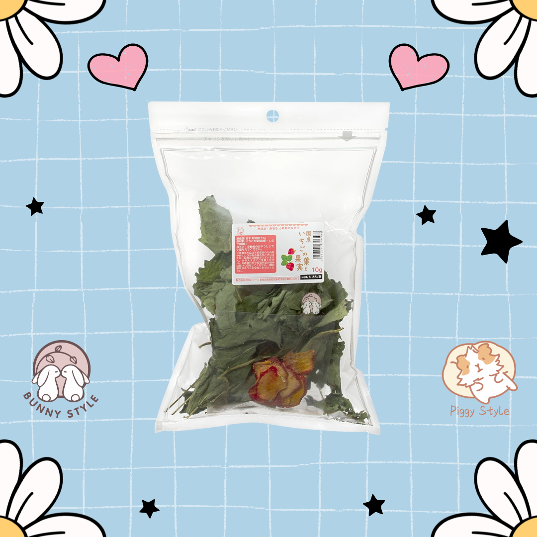 日本Leaf Corp 士多啤梨葉、士多啤梨果實 10g