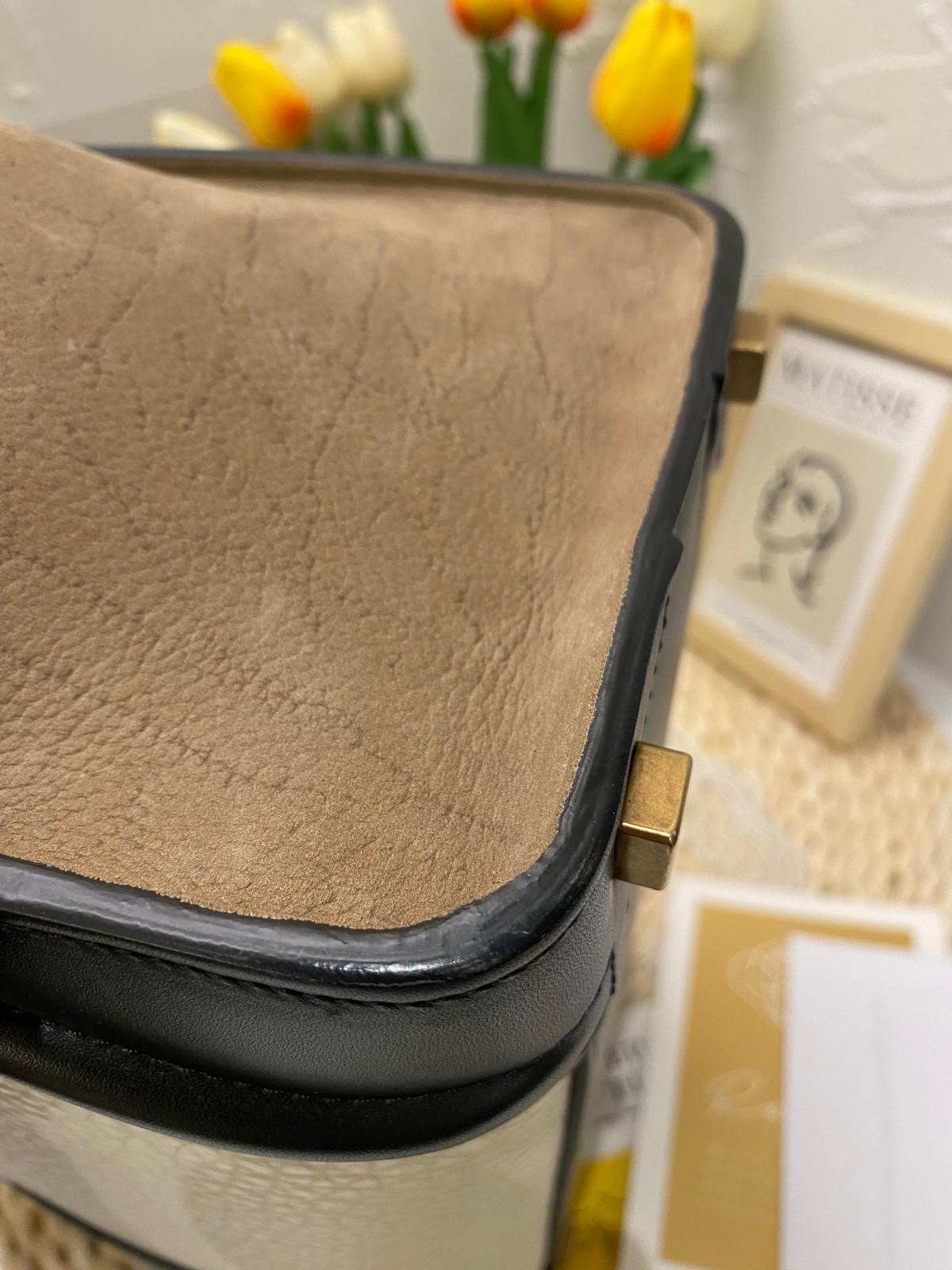 Celine Tricolor Luggage Bag