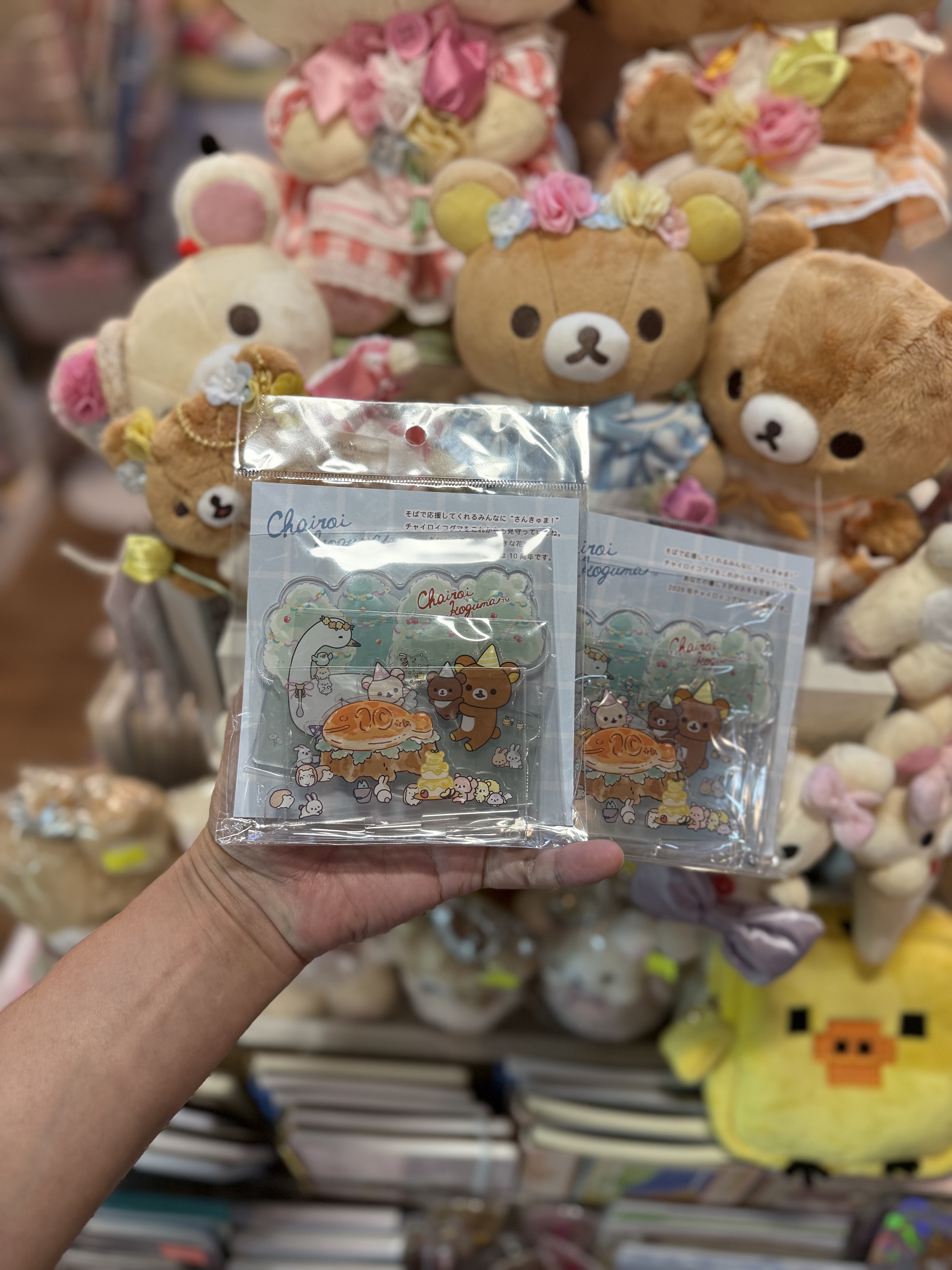 《現貨》全新日本專店限定 小熊10週年紀念立牌