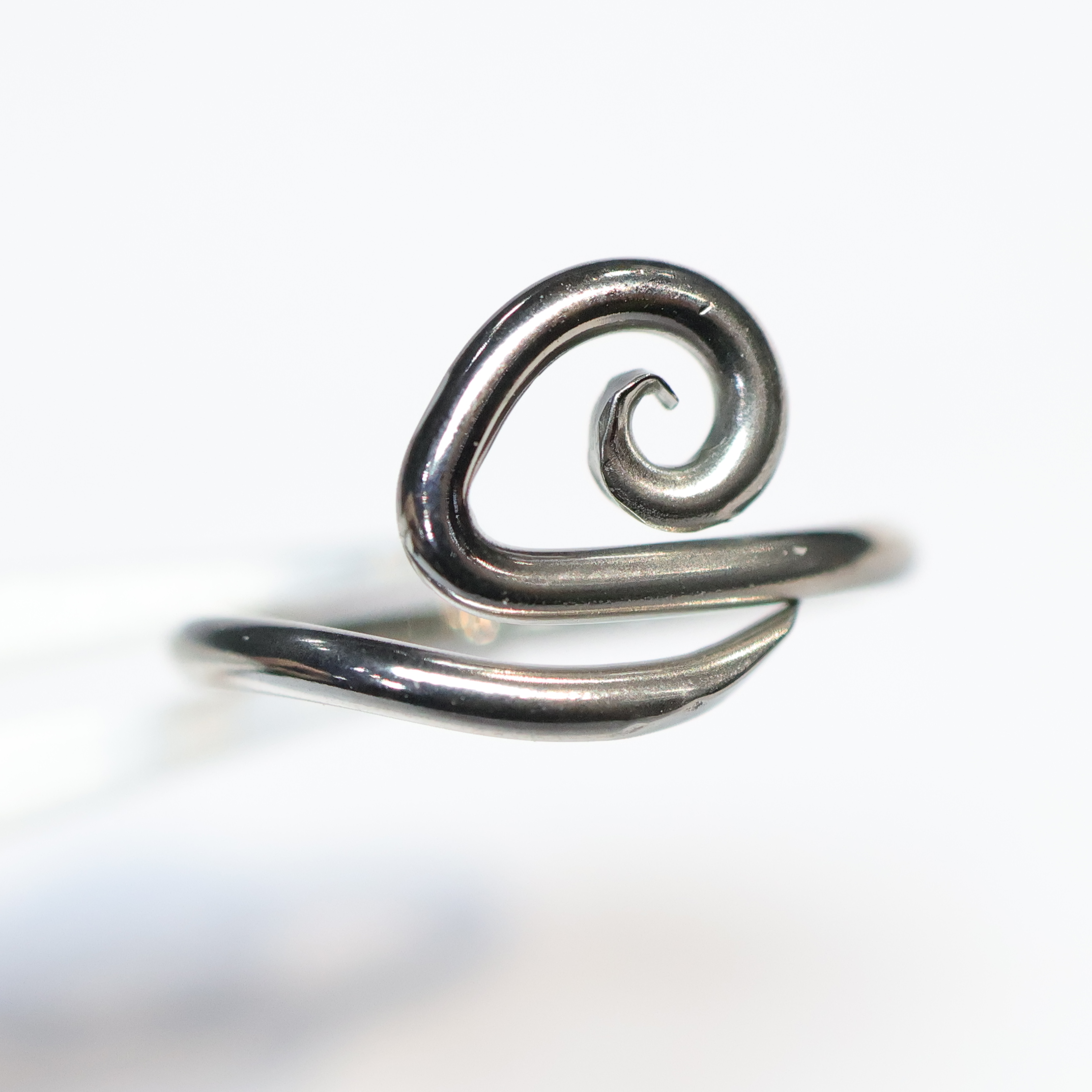 Procyon Overlap 	(Conch & Helix)