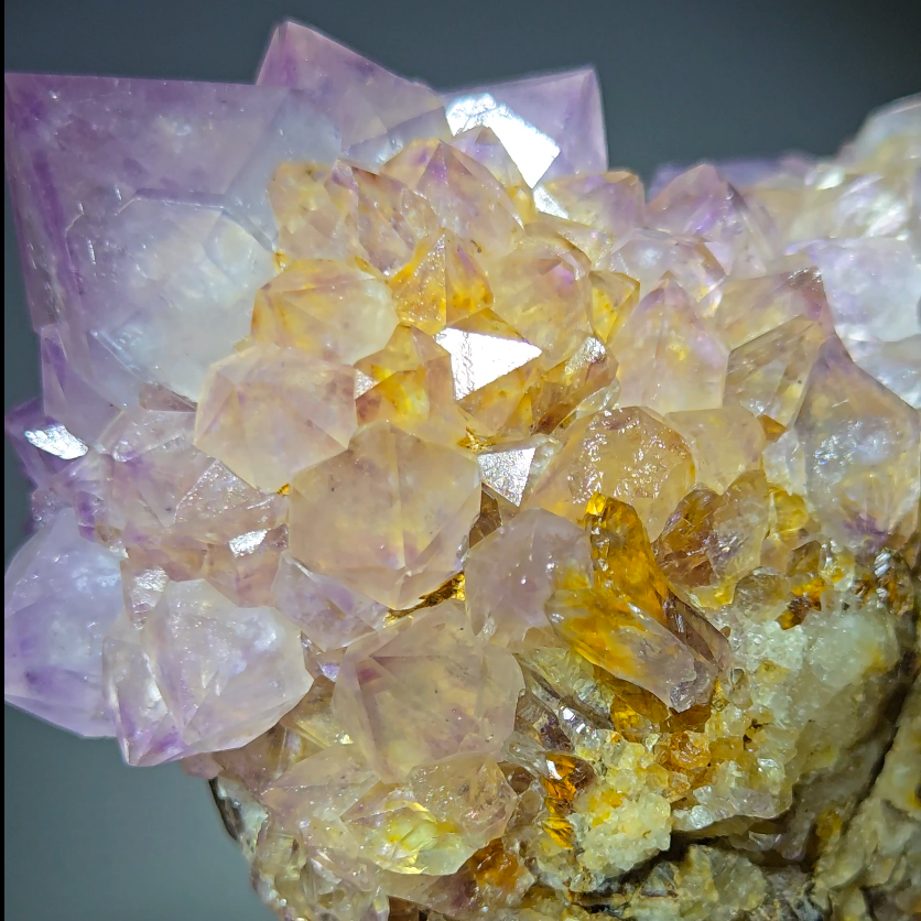 Spirit cactus quartz with rainbows - SPQ12