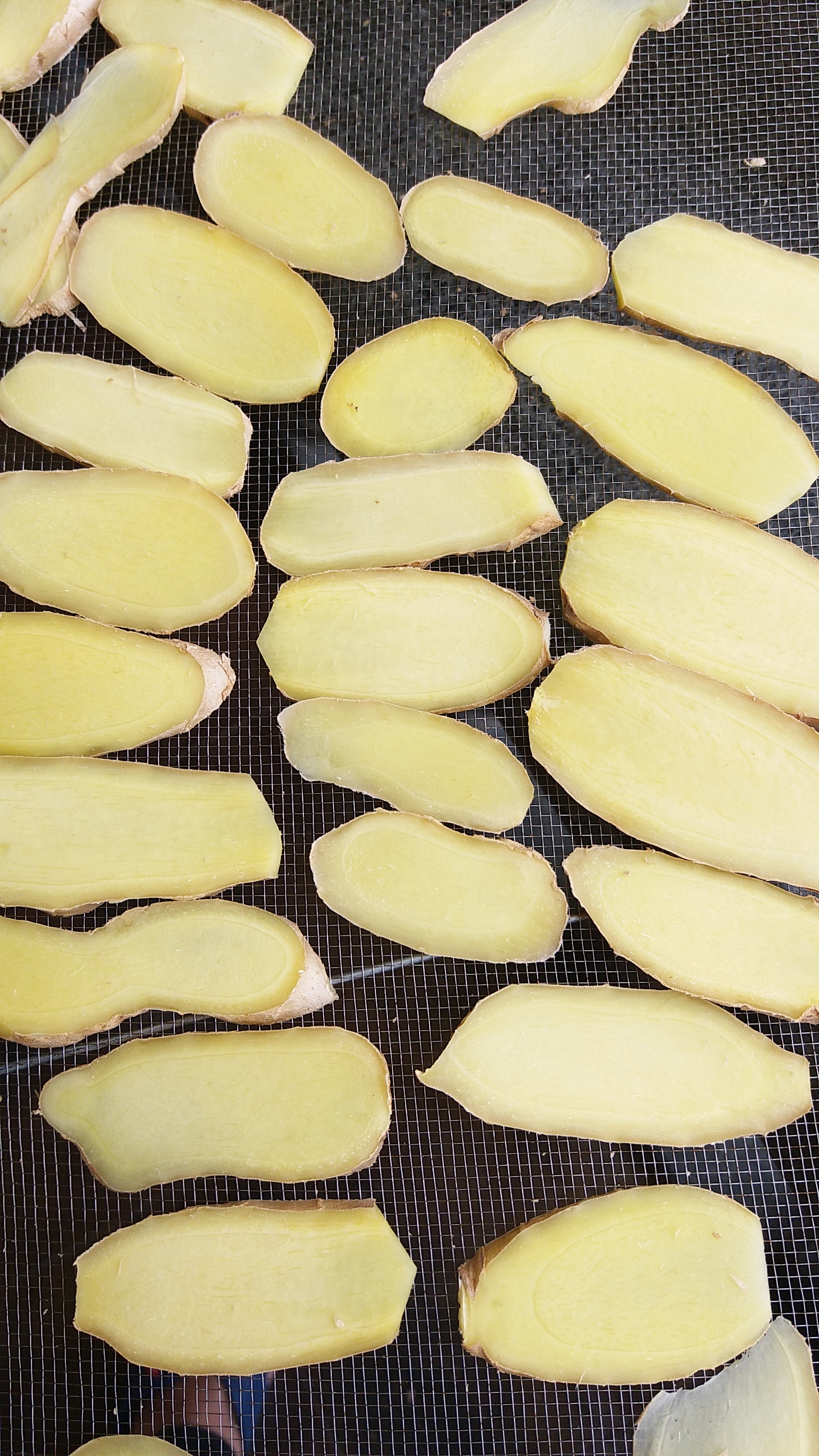  <南薑片> -  有機種植天然生曬手切 