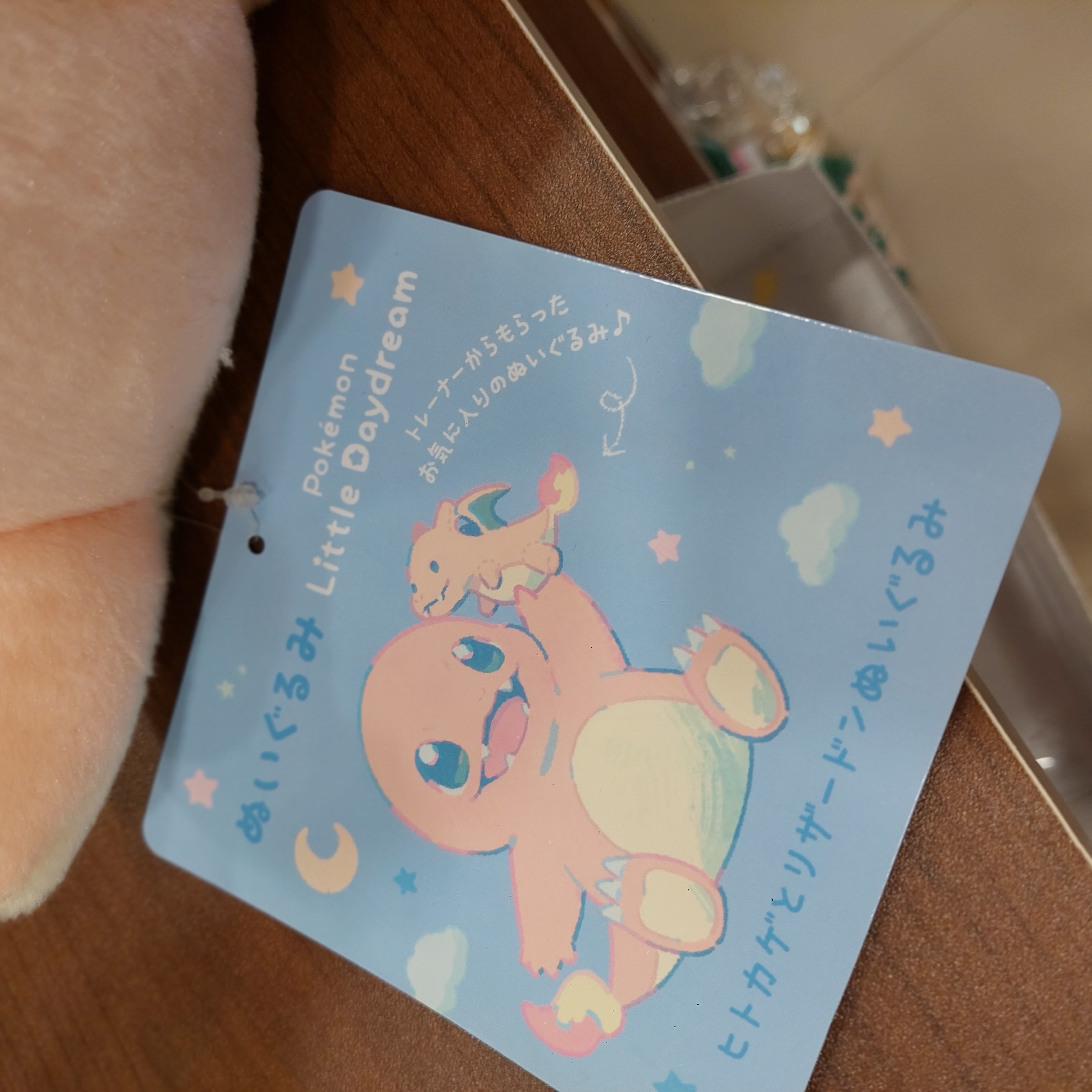 原裝日本 Pokemon Pikachu 比卡超 寶可夢 Little Daydream 小火龍 公仔