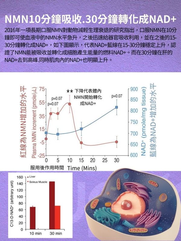 Suppoo森保寶NMN18000+PQQ-60粒