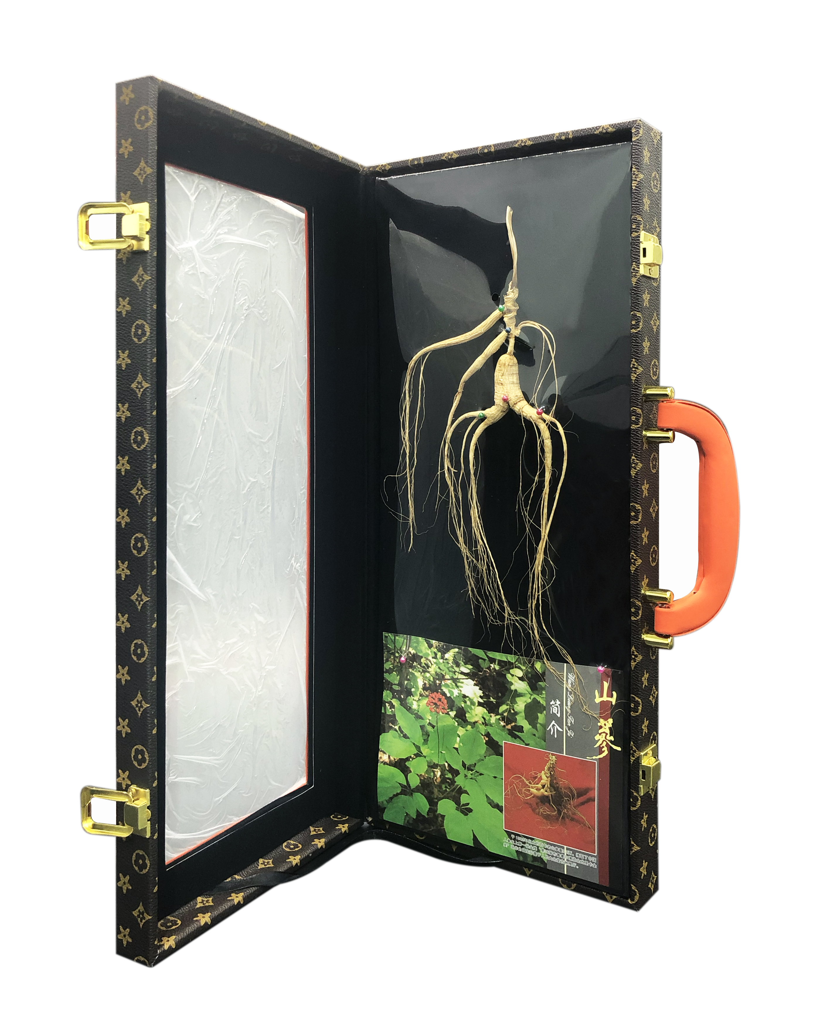 10年長白山林下蔘