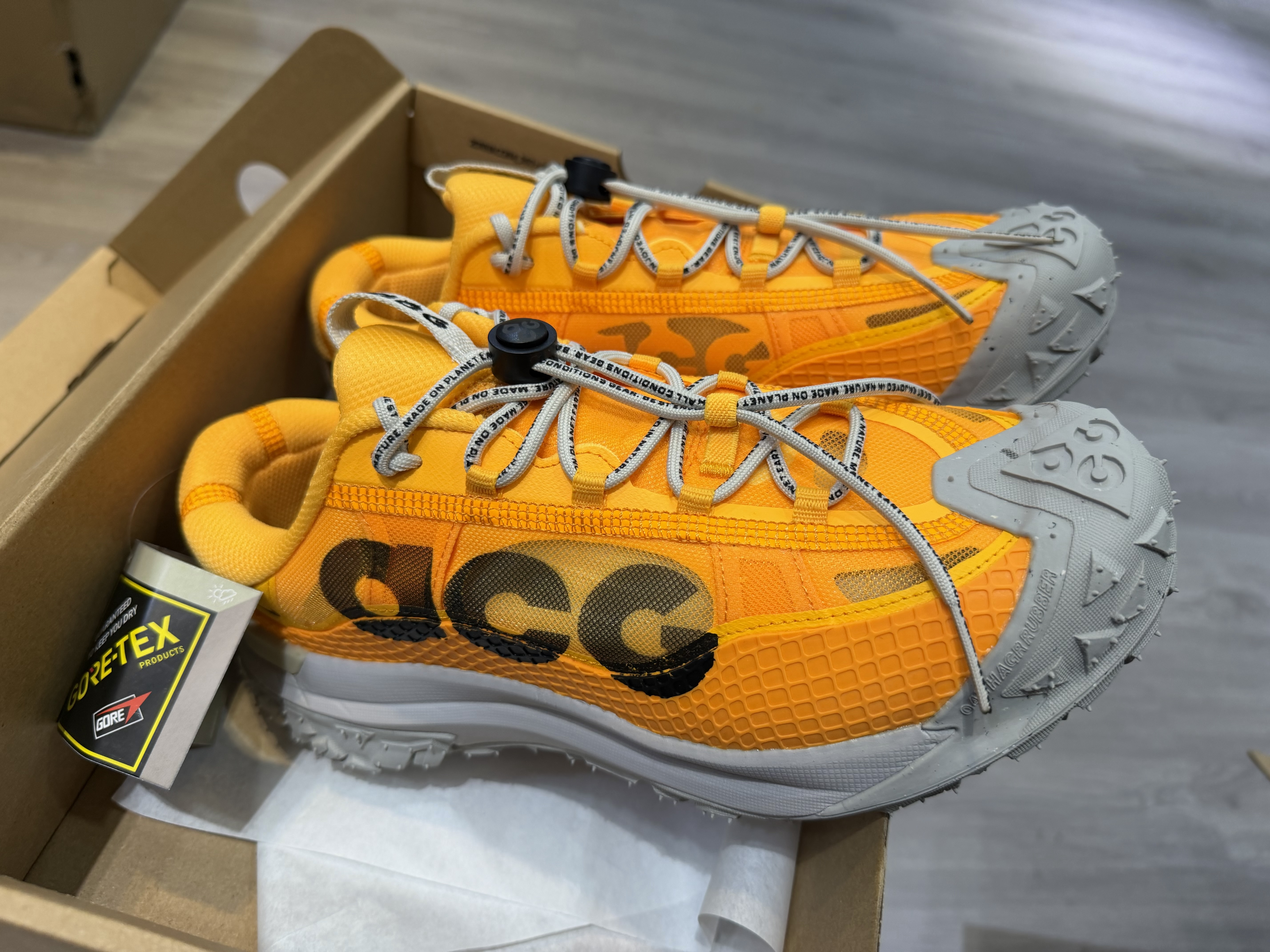 Nike ACG Mountain Fly 2 Low