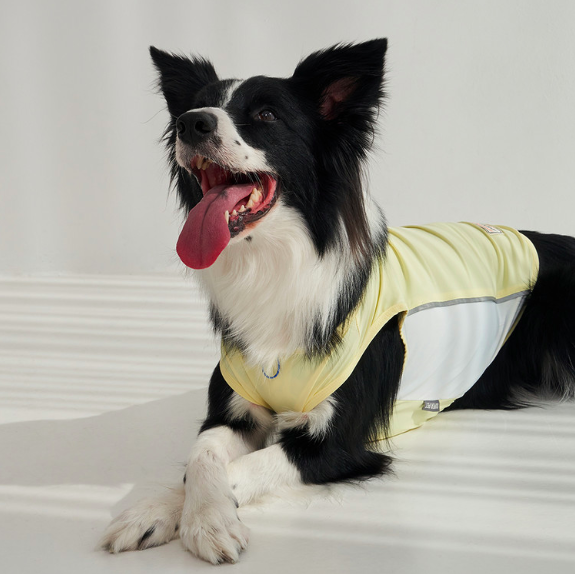 *SuperPet🇰🇷狗狗涼感機能背心