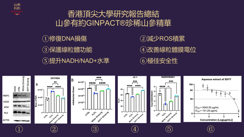 山參有約 - GINPACT®珍稀山參精華 ( 香港品牌、香港製造)