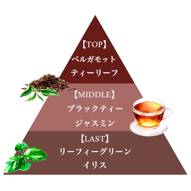 🎀  【預訂】FERNANDA Black tea Fragrance Aroma Oil 10ml