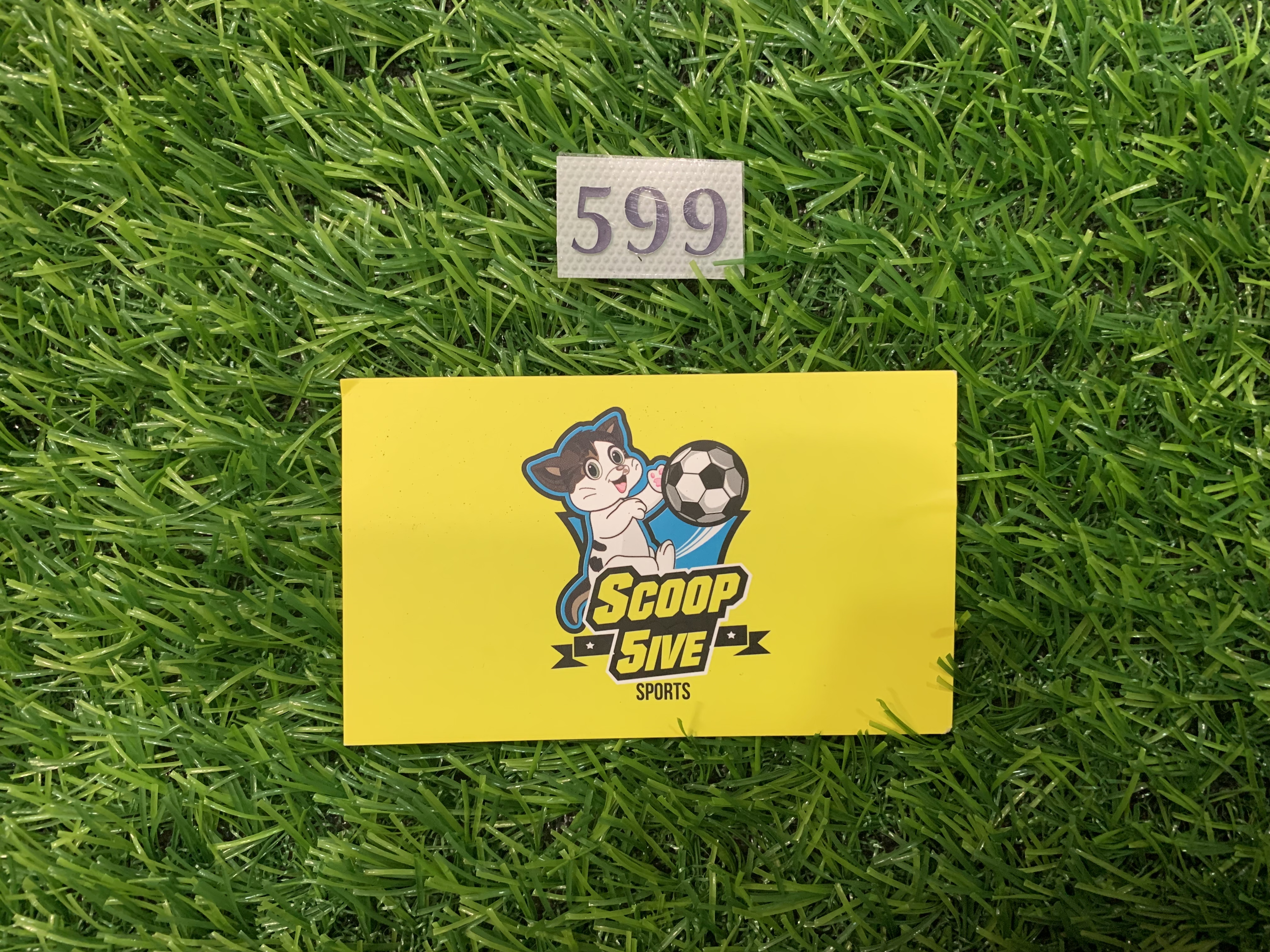 熱刺 DIY 傳奇編號 599 Sheringham 印衫背脊頂部