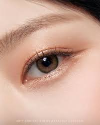 [散光] Olens - Vivi Ring Brown Toric (1month)