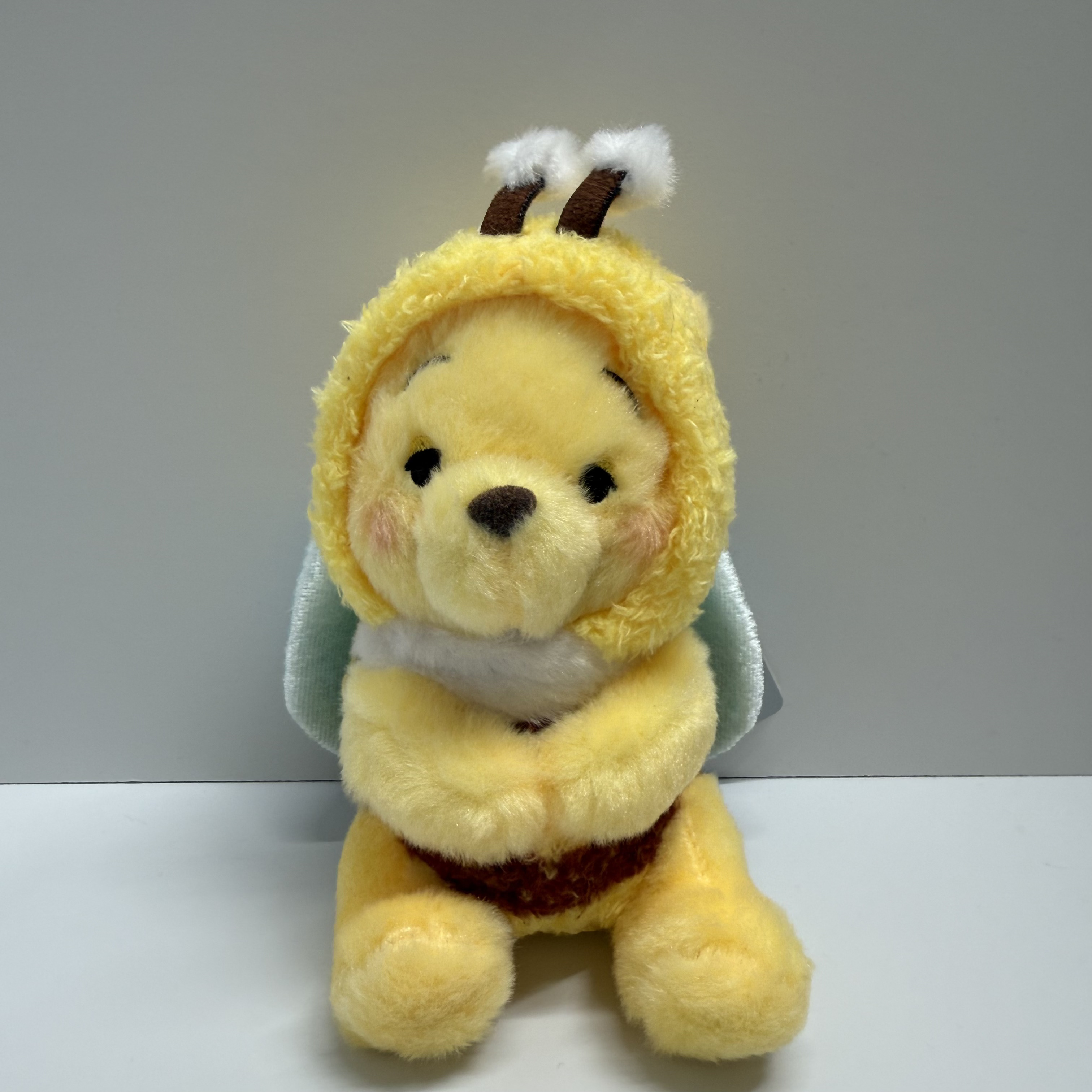 現貨 Pooh Day 吊飾 