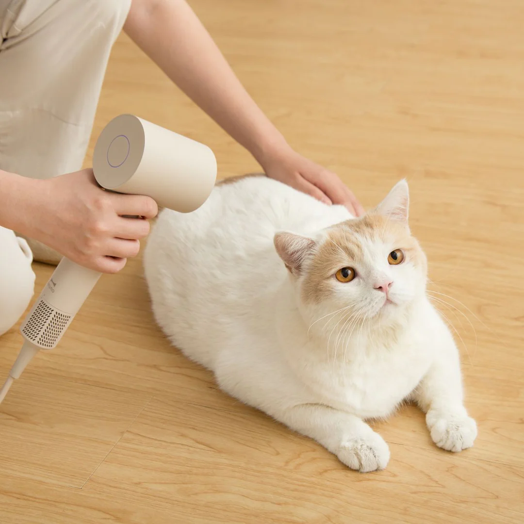 預購⭐️Bruno 全球電壓高速高濃度負離子風筒100-240V 灰褐色 (BAK811-GRG) [香港行貨] 