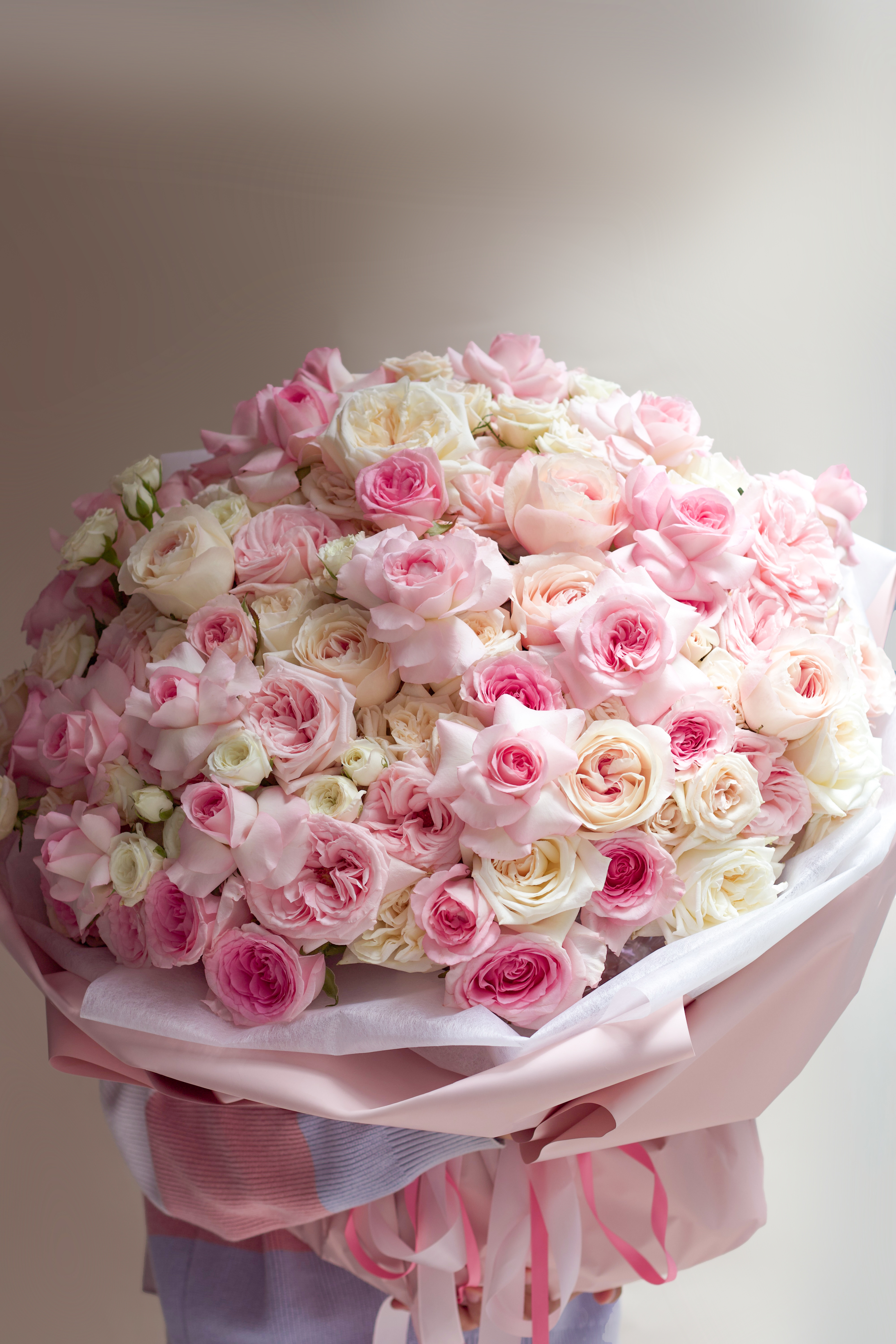 Nid de Rose