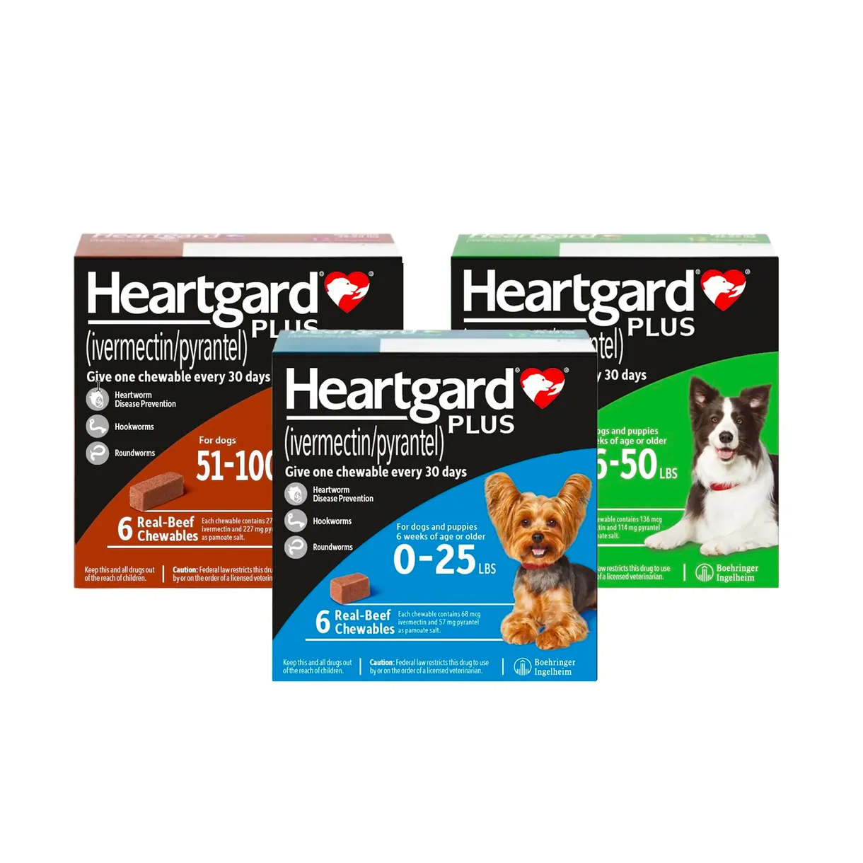 Heartgard Plus預防心絲蟲咀嚼配方