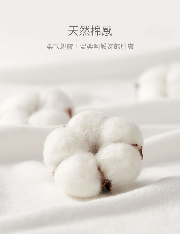 預購 miffy TW 內褲套裝 只有黑色