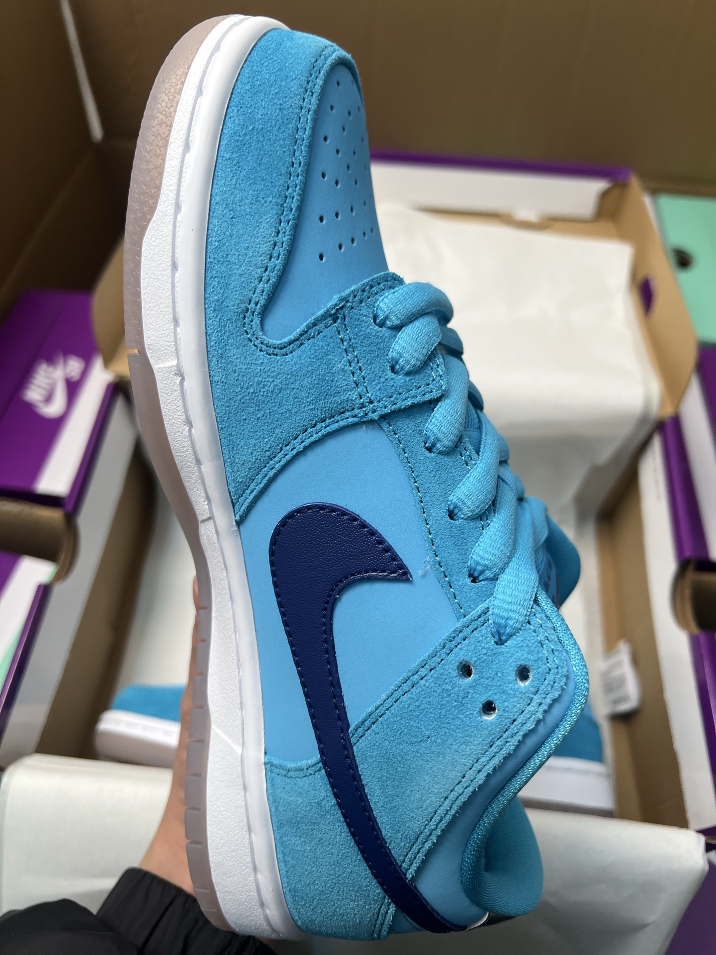 Nike SB Dunk Low Pro 