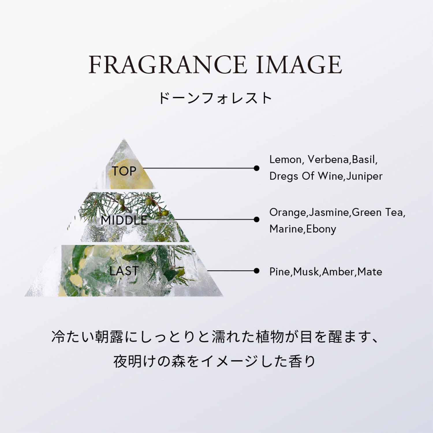 【限量新商品】【✨️日本🇯🇵 Celvoke Cooling Roll OnFreezing Head Shot 冰感滾珠精油✨️】9ml   