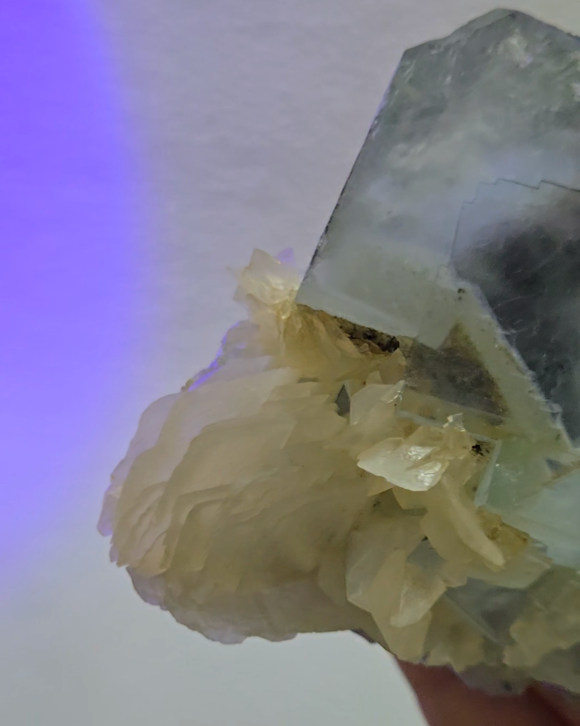 Blue cubic fluorite with UV calcite - FL436