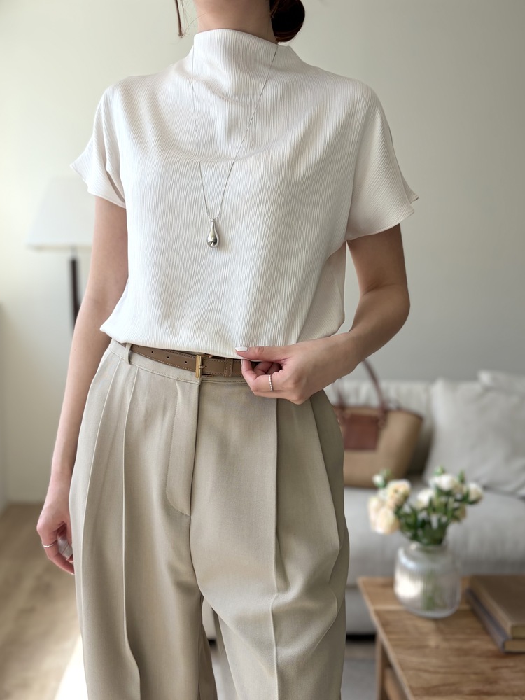 Timeless Pleated Flow Pants (Beige)