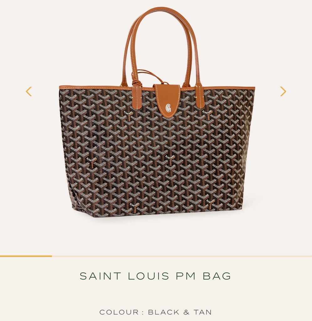 Goyard Saint Louis PM Bag (新款附包夾）