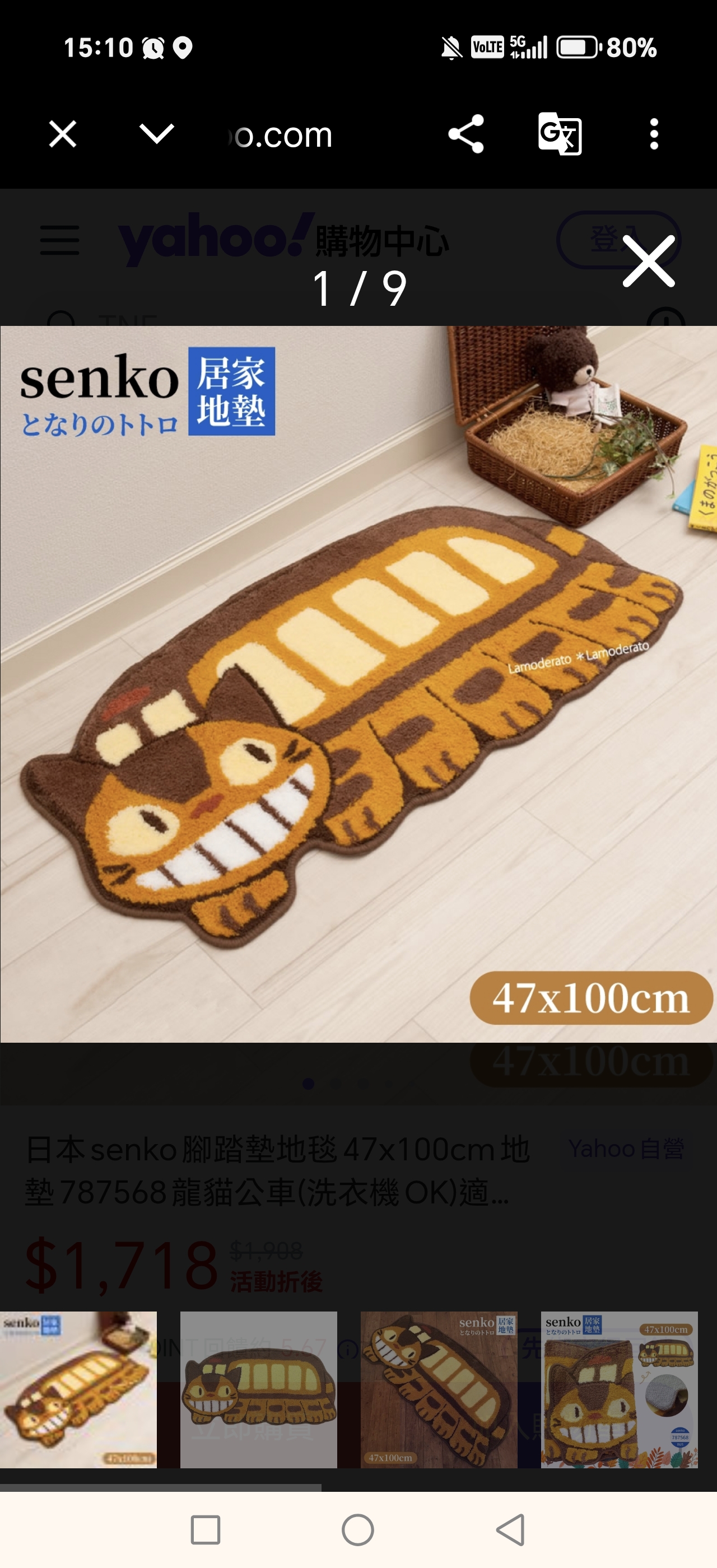 貓巴士毛氈 