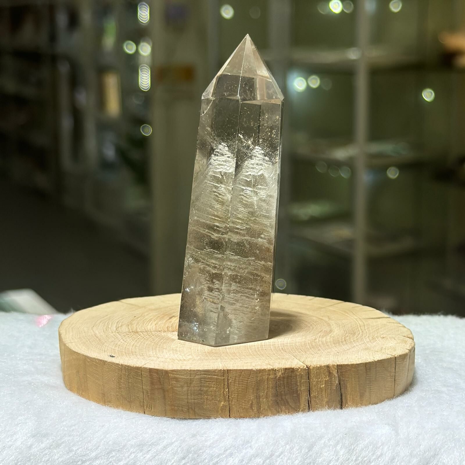 千層白幽靈柱 - 2